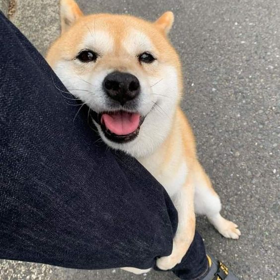 Wastes Earth Science Flashcards